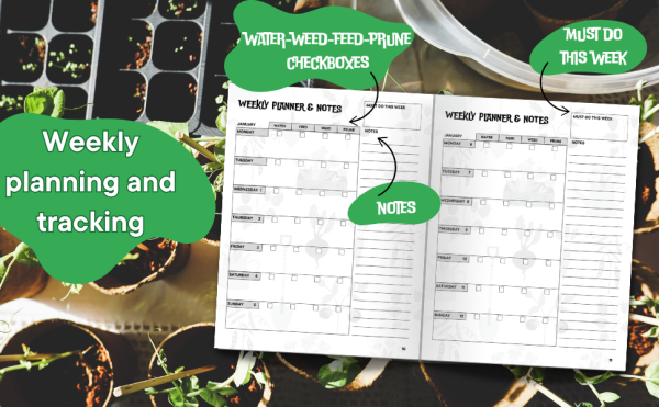 2025 Garden Planner - Image 5
